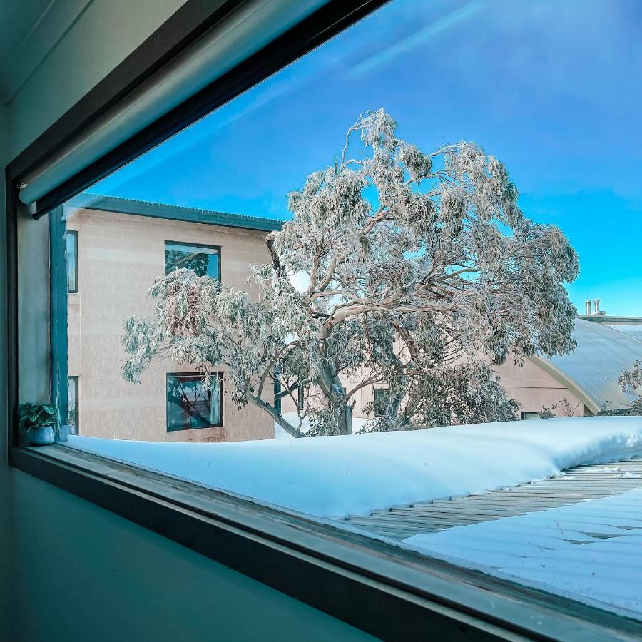 Ajax Ski Club Hotel Mount Buller Eksteriør billede